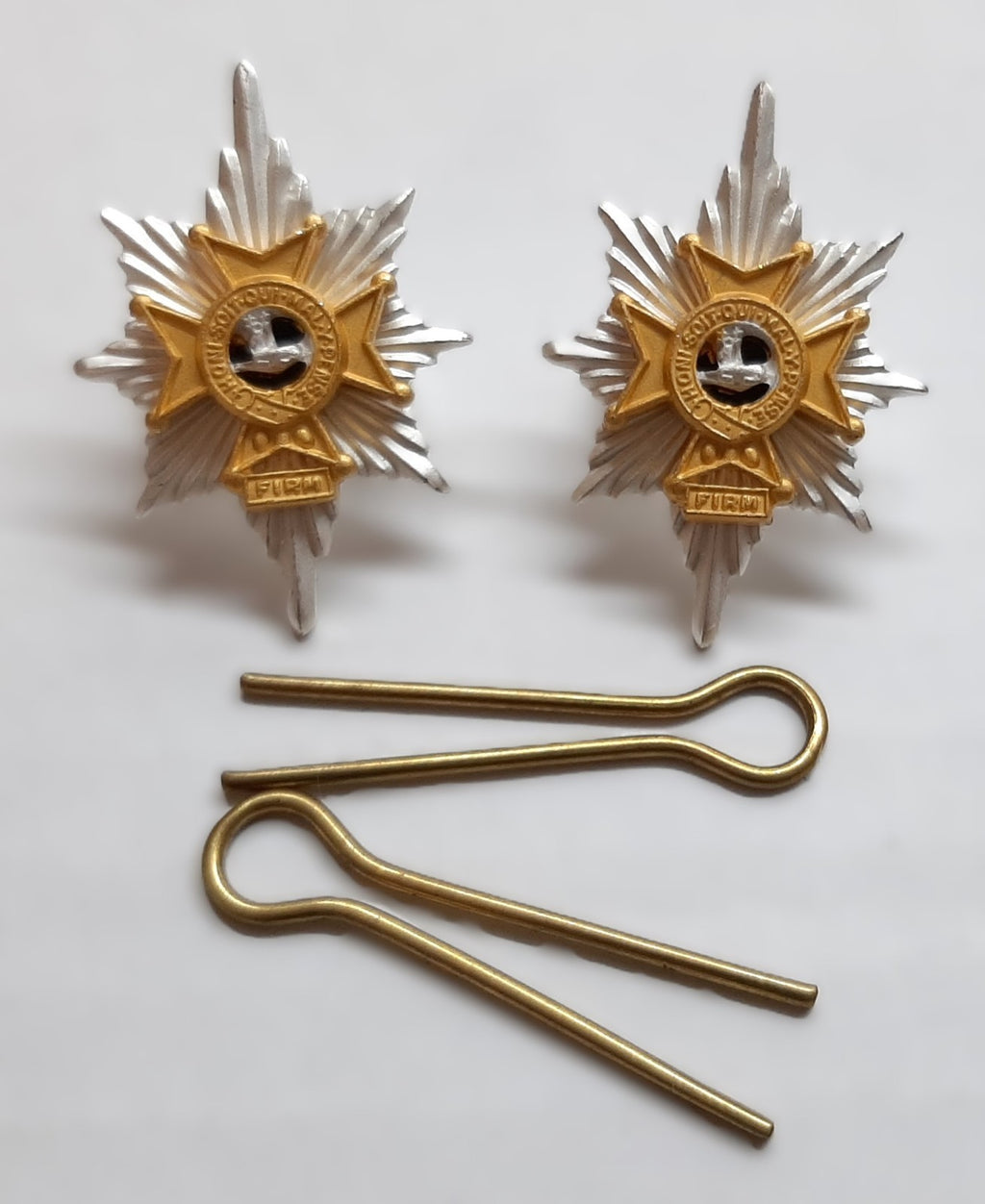 Collar Dogs Worcestershire and Sherwood Foresters Regiment