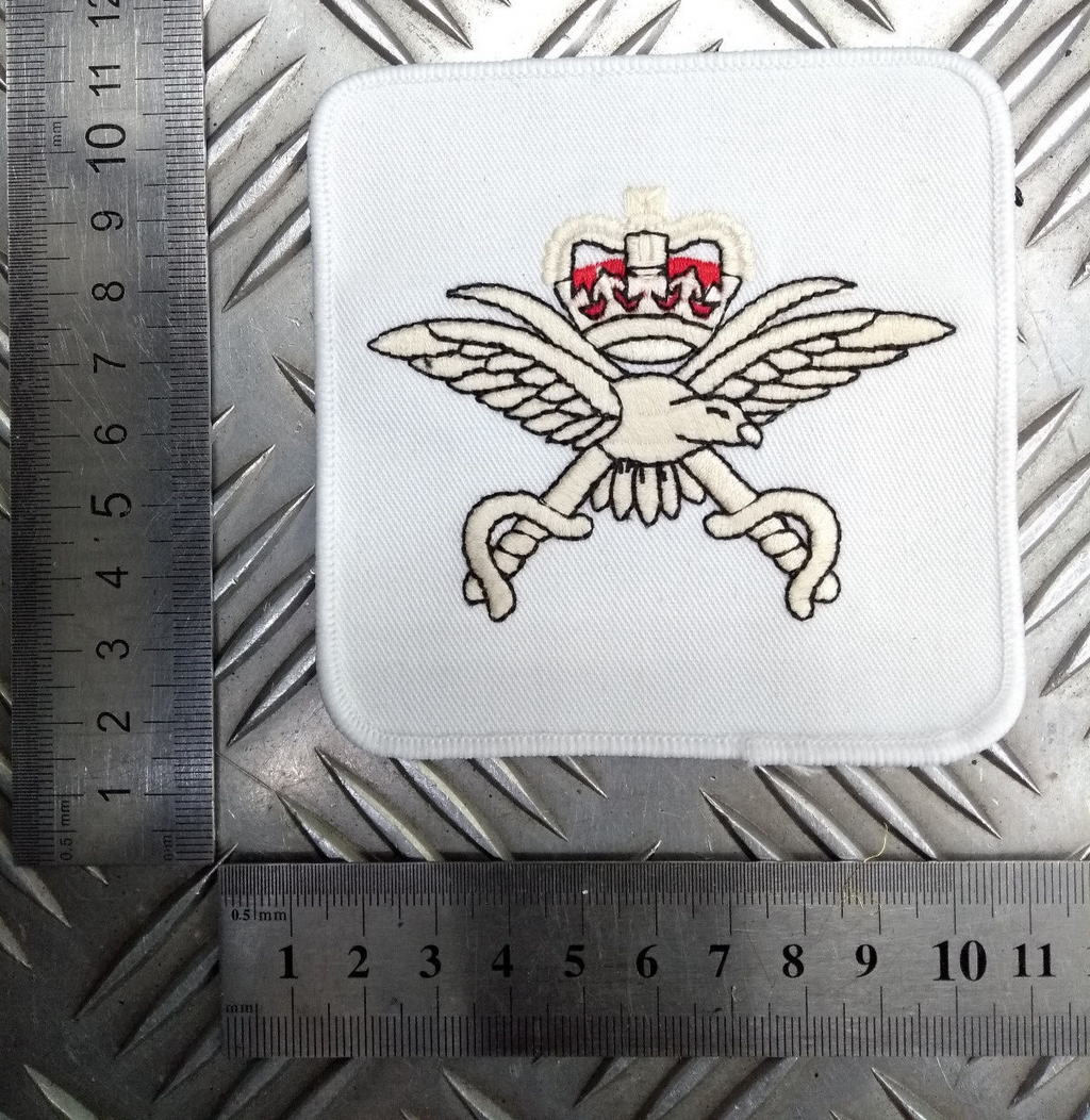 PTI Badge Embroidered RAF Royal Air Force Physical Training Instructor