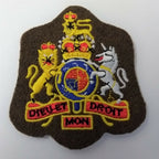 Genuine British Army Issue No2 Dress WO1 Coat of Arms Badge Sleeve Patch