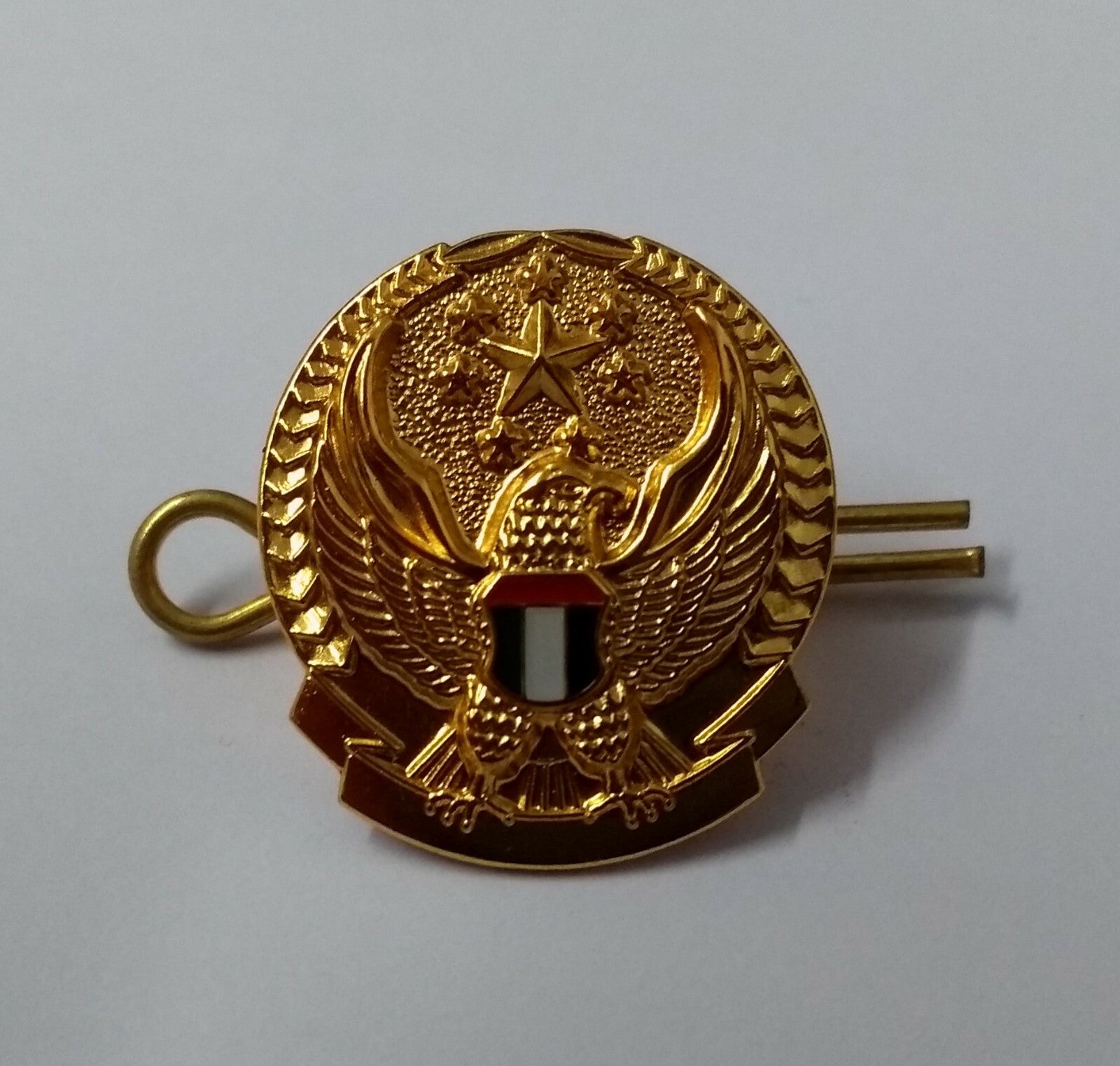 Genuine UAE United Arab Emirates Armed Forces Collar Badges 2 Pairs NEW