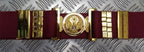 Abu Dhabi Belt Maroon Nylon With Insignia Buckle For Ceremonial & Parade Duties