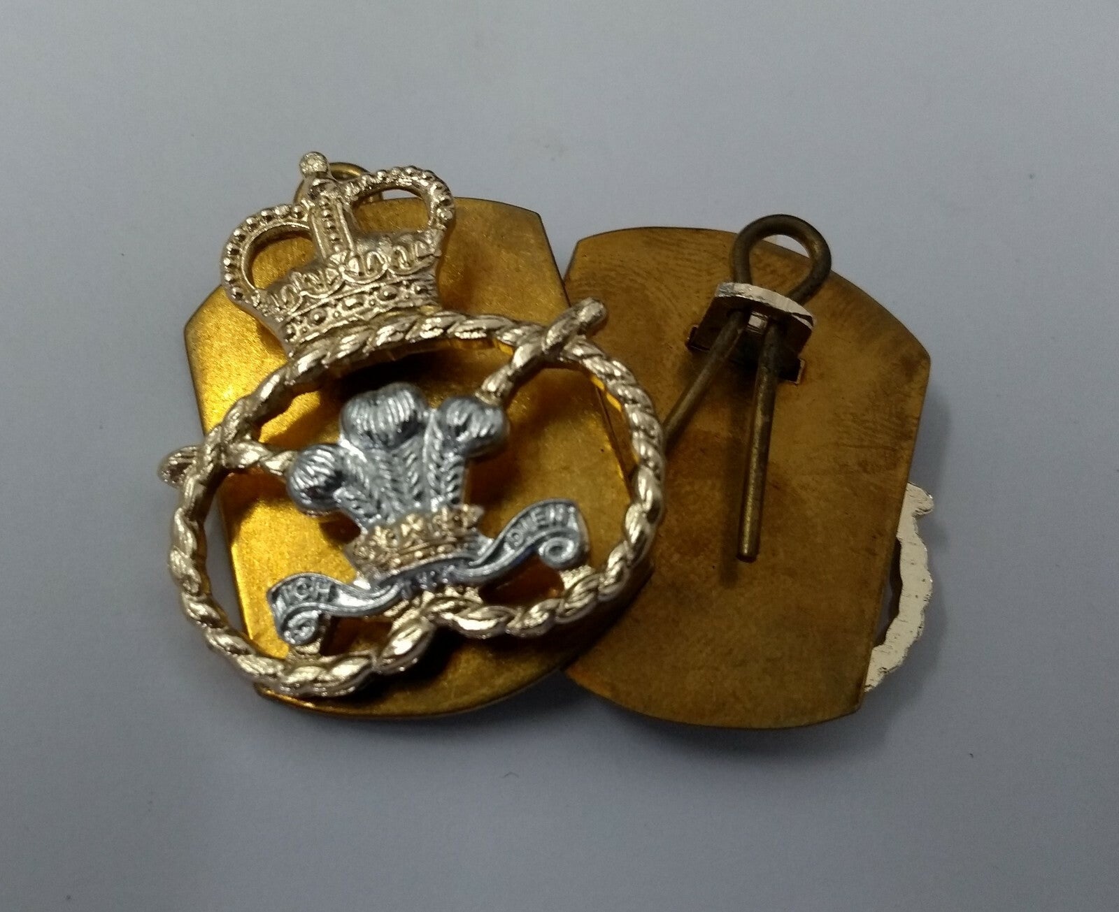 Staffordshire Regiment Collar Dogs 1 Pair