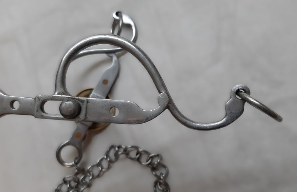 H Cav Horse Bit British Army Issue The Life Guards Chrome Mouthpiece & Insignia