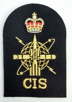 Royal Navy CIS Leading Rate Embroidered Black & Gold Qualification Patch
