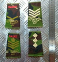 PWRR Rank Slide Woodland DPM Camo Princess of Wales's ACF British Army Assorted