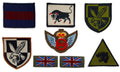 British Army Insignia Badges Assorted QADI 16th Air 11 Light Brigade etc X8