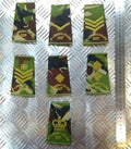 Woodland DPM Camo St. Lawrence College CCF Rank Slides Assorted - NEW