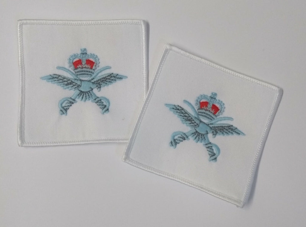 PTI Badges Embroidered RAF Royal Air Force Physical Training Instructor 1 Pair