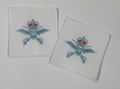 PTI Badges Embroidered RAF Royal Air Force Physical Training Instructor 1 Pair