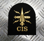 RN Royal Navy Embroidered Assorted Branch Qualification Badges Patches