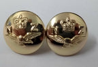 Genuine Issue New Zealand Air Force Insignia N Z X 25 Buttons 22L ASBT137