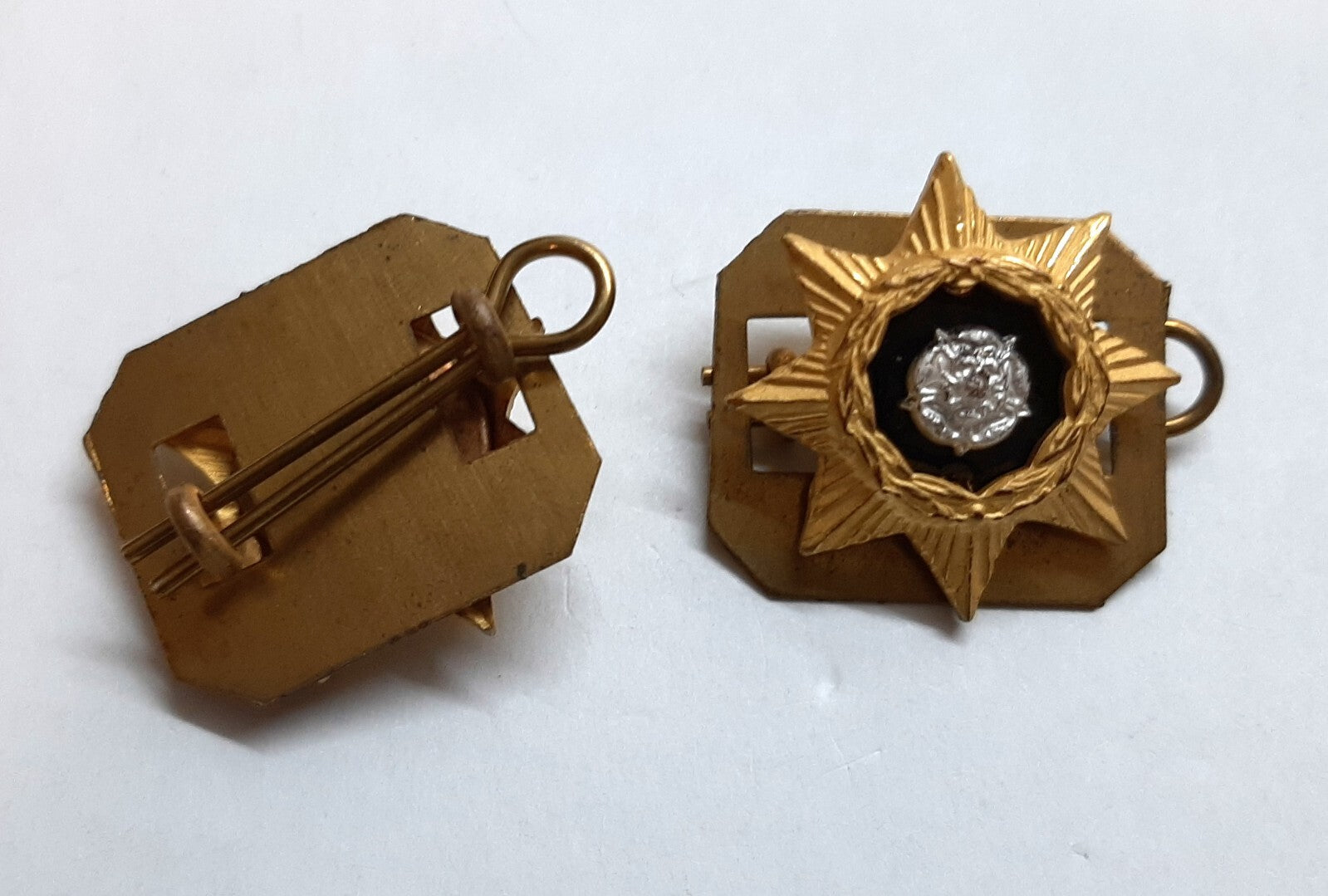 Vintage Collar Badges British Army The Prince of Wales Own Regiment of Yorkshire