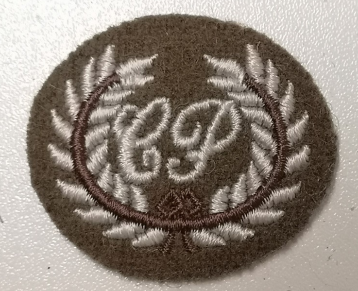 Basic Close Protection Course Qualification Oval Fad Patch British Army