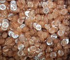 Buttons Vintage 4 Hole for Dress Shirts Pearlesque Beige 9.9mm New Old Stock
