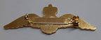 RAF Assorted Patches and Badges British Royal Air Force