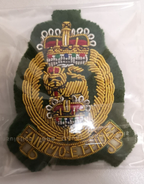 Forage Cap/Side Hat Wire Braided Felt Beret Badges Various Types