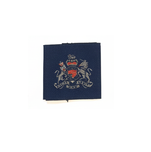 RAF Royal Air Force Shirt Sliders Rank Epaulettes For Service Personnel or Cadets