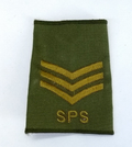 Adjutant General's Corps AGC Staff & Personnel Support SPS Sergeant Rank Slide