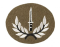 Class 1 Infantry Qualification Infantry Soldiers British Army Oval FAD Patch