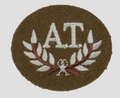 No2 FAD Patch A.T Skill Arm Badge for Number 2 Dress Jacket