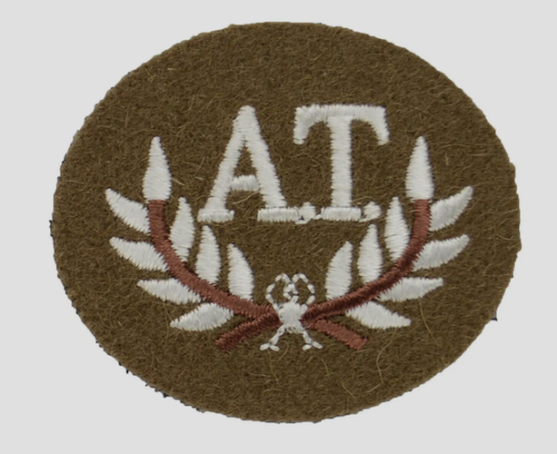 No2 FAD Patch A.T Skill Arm Badge for Number 2 Dress Jacket