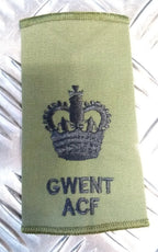 Green OD GWENT ACF Rank Slide Various Ranks Genuine British Army Issue - NEW