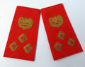 Botswana Defence Force BDF Brigadier Rank Shoulder Slides Gold Raised Insignia Epaulettes 1 Pair