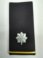 US / USAF Slide Epaulettes Various Ranks x1 Pair- NEW