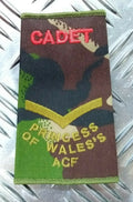 PWRR Rank Slide Woodland DPM Camo Princess of Wales's ACF British Army Assorted
