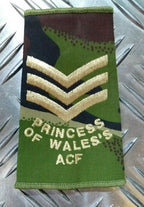 PWRR Rank Slide Woodland DPM Camo Princess of Wales's ACF British Army Assorted