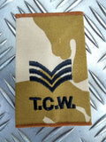 Tactical Communications Wing Desert Camo RAF Royal Air Force Epaulette / Tab Slide