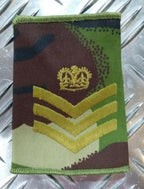 Woodland DPM Camo Rank Slides