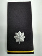 US / USAF Slide Epaulettes Various Ranks x1 Pair- NEW