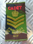 PWRR Rank Slide Woodland DPM Camo Princess of Wales's ACF British Army Assorted