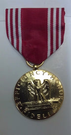 USA / Services Coast National Navy Medal - Assorted